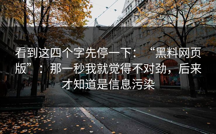 看到这四个字先停一下：“黑料网页版”：那一秒我就觉得不对劲，后来才知道是信息污染
