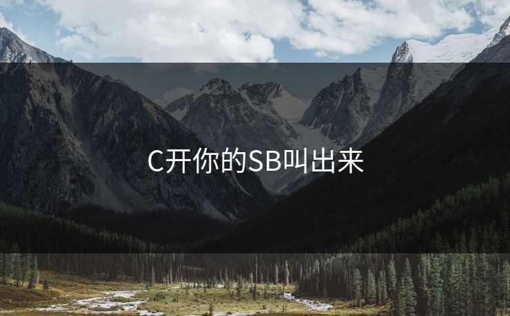 C开你的SB叫出来